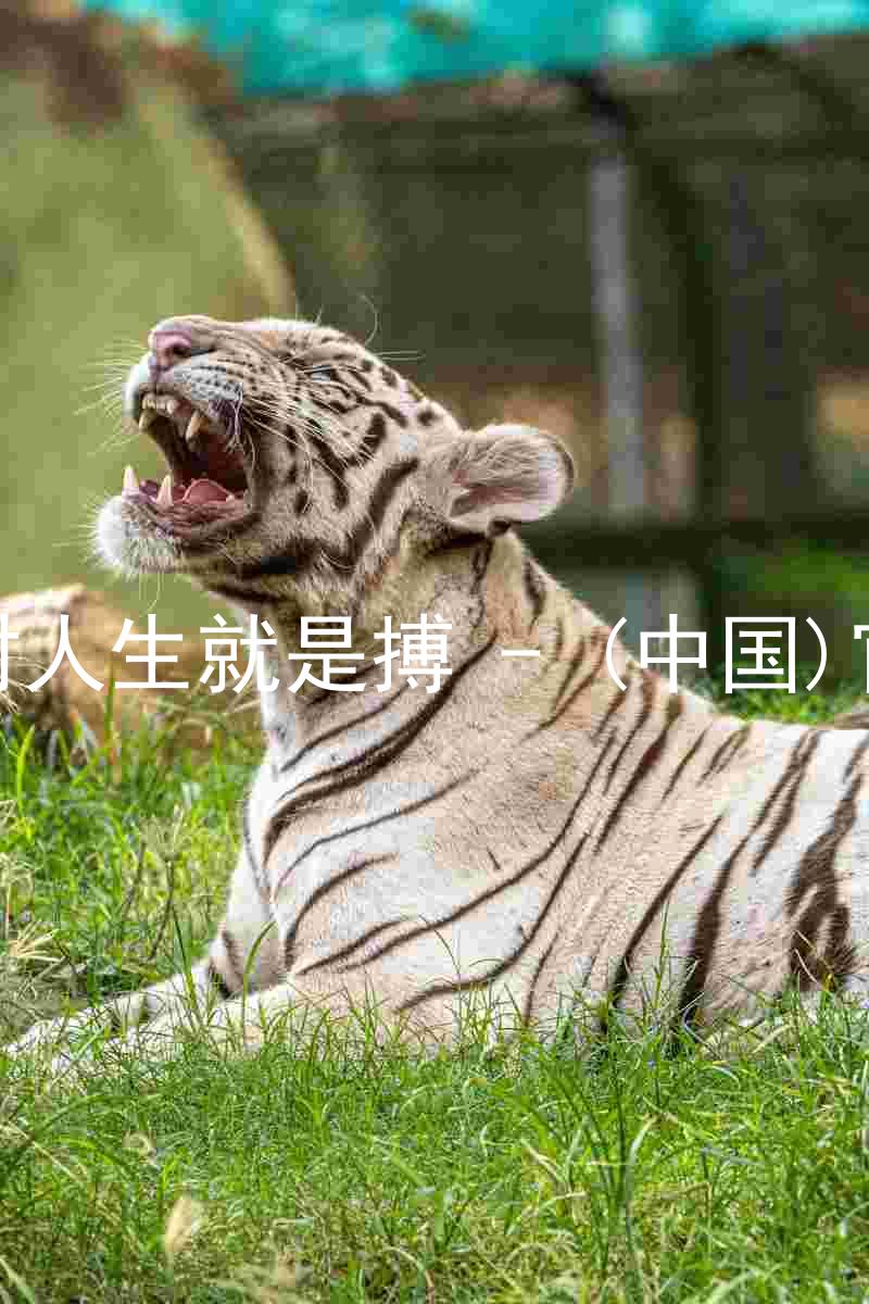 尊龙凯时人生就是搏 - (中国)官方网站