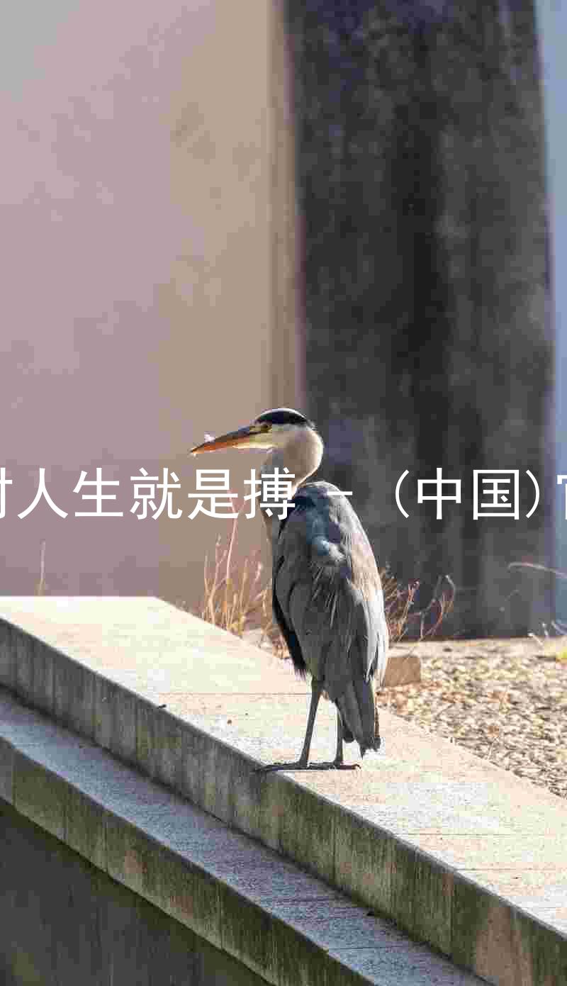 尊龙凯时人生就是搏 - (中国)官方网站